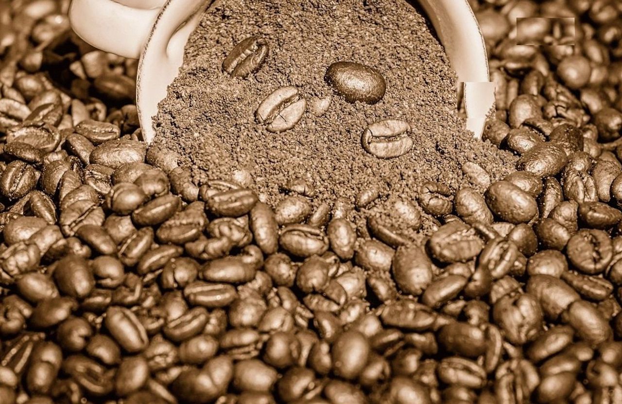 Pourquoi le café de spécialité vaut vraiment le détour